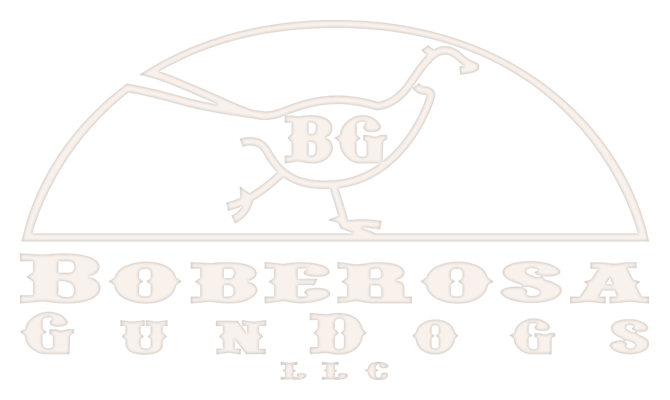 Boberosa Gun Dogs Boberosa Gun Dogs
